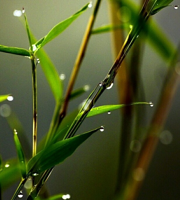 #nature