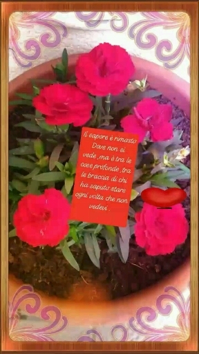 profumo di primavera