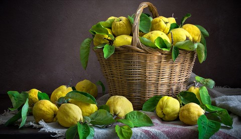 Quince