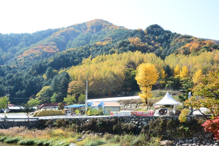 산이미지