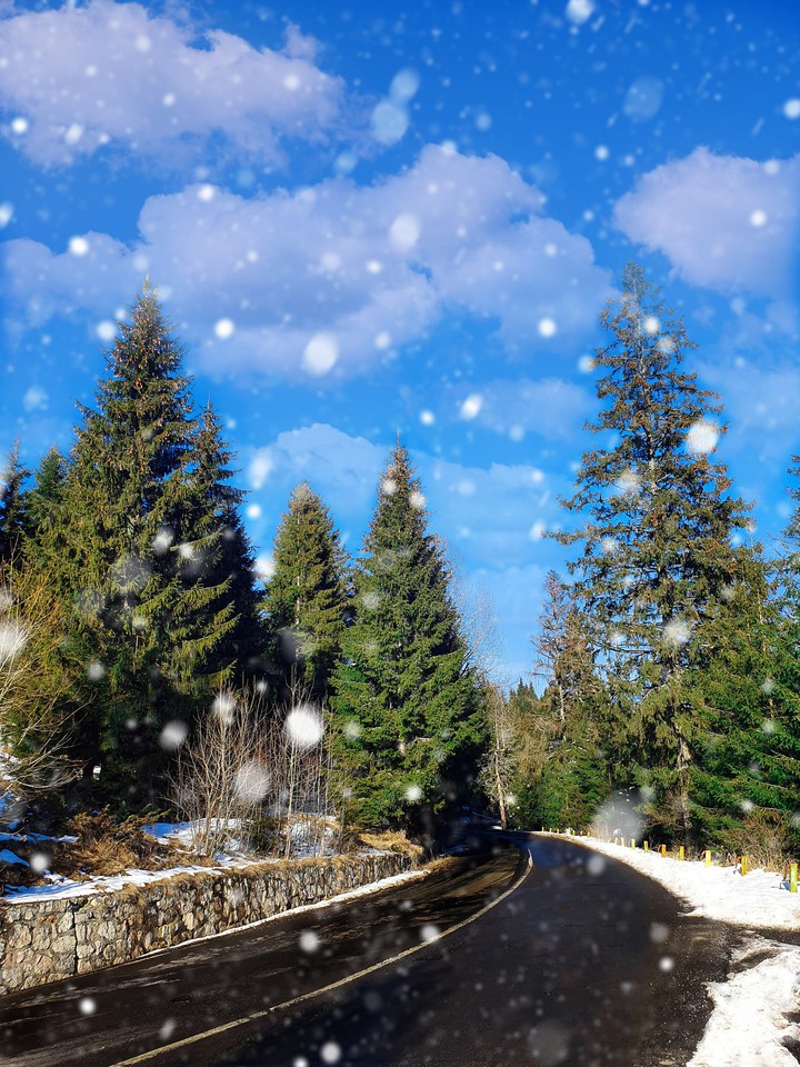 winter road