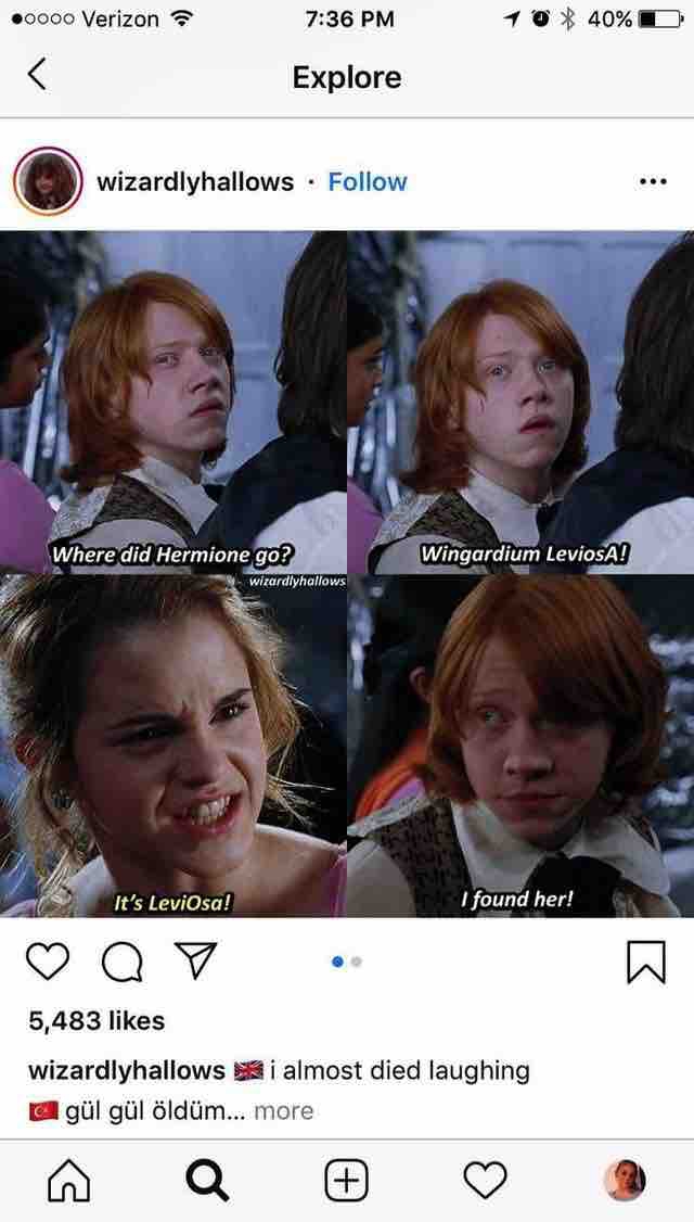 Ronald Weasley & Hermione Granger