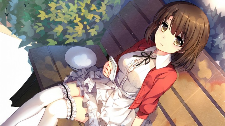 Novel Series: Saenai Heroine no Sodatekata
