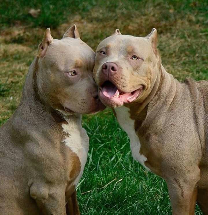 ♥️♥️♥️