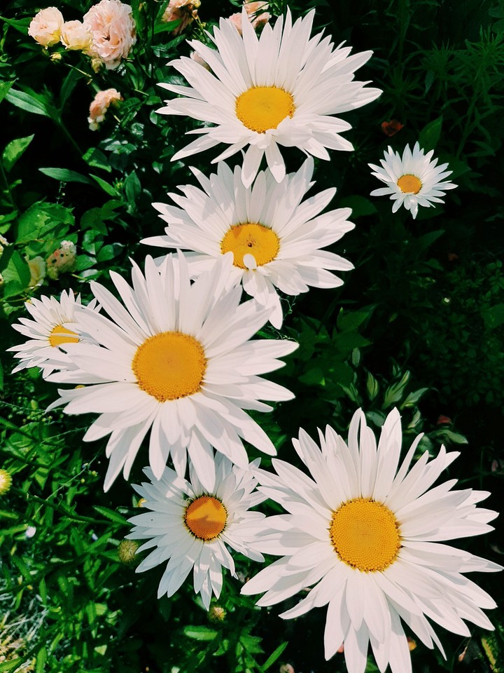 ❤