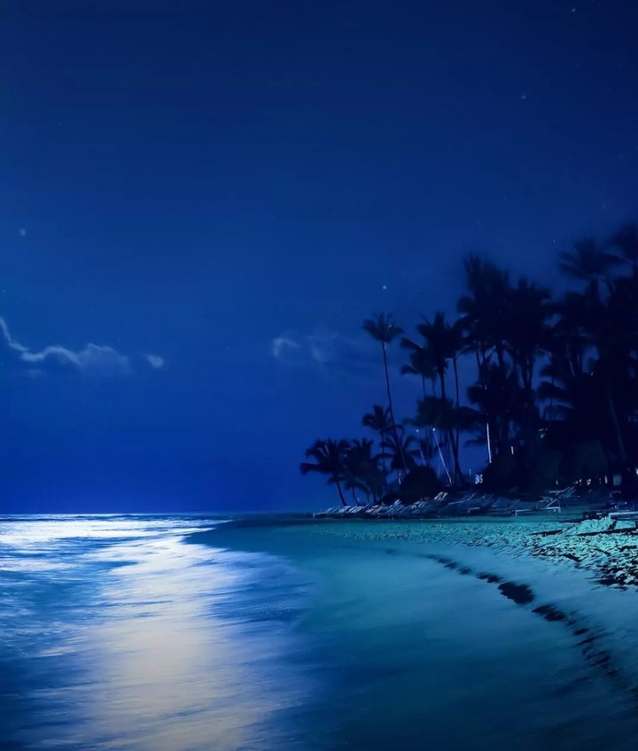 Seashore