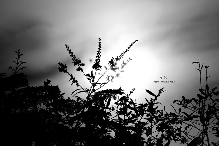 lightining monochrome...