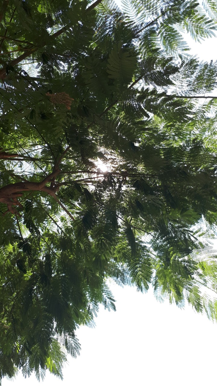Sonsuzluk...
