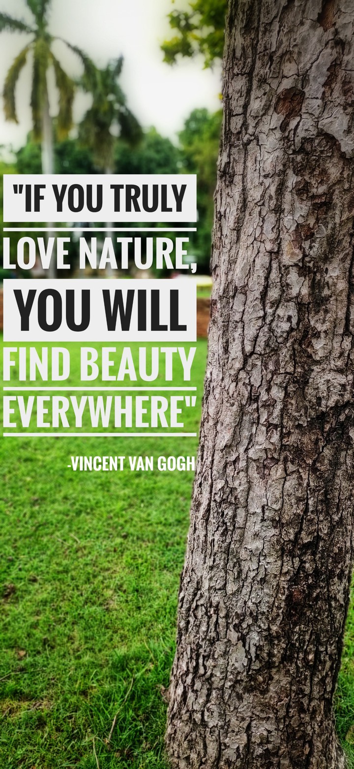 Nature