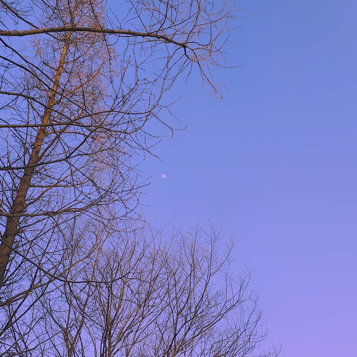 달