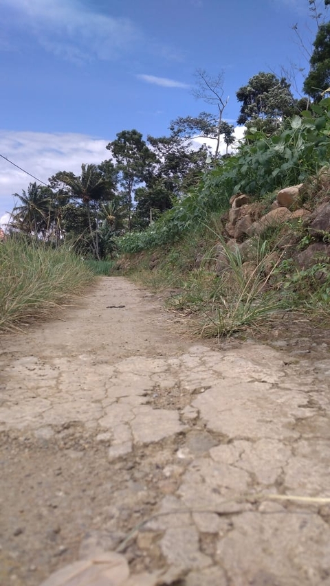 The Path