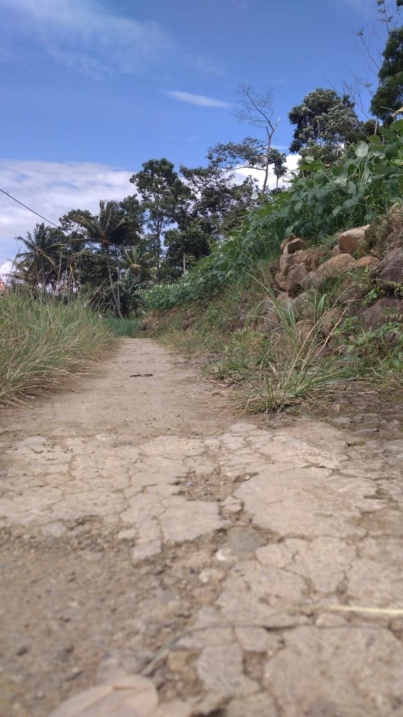 The Path