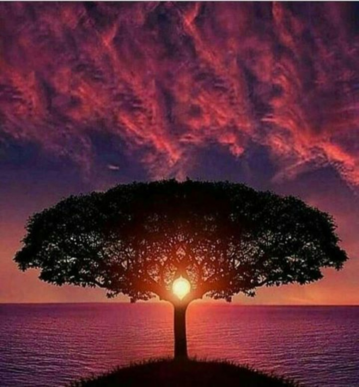 Aewsome sunrise