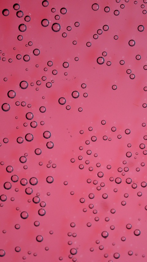 red, pink壁纸