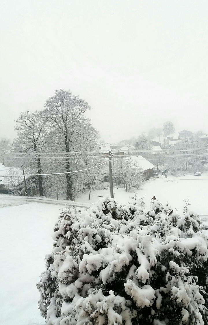 winter