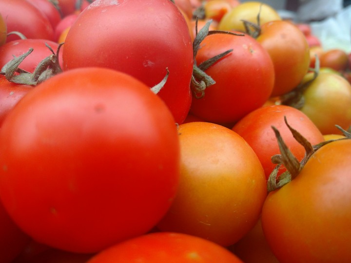 tomatoes