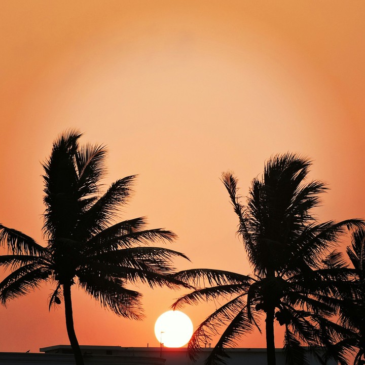 sunset