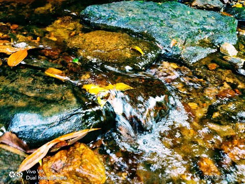 waterfall