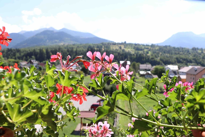 mountain and flowers! ❤️