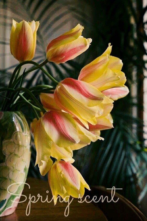 beauty flower