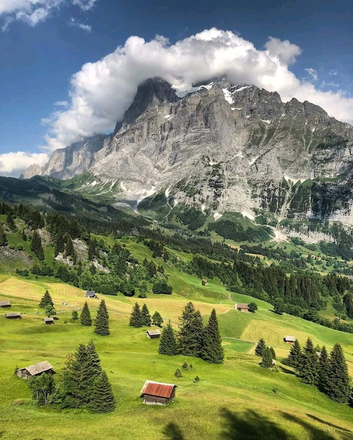 Gorgeous view of Swiss Alps, Switzerland ❤️