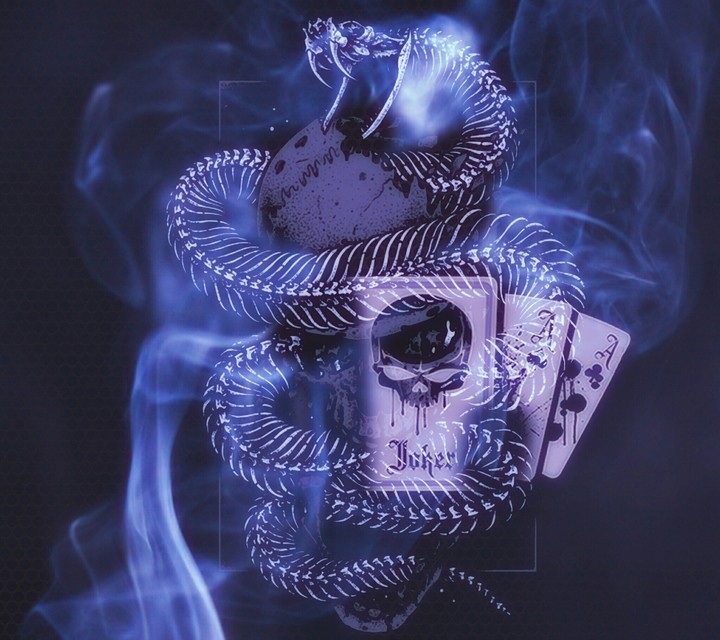 Skull & snake