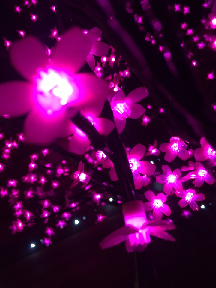 LED Flower lights
