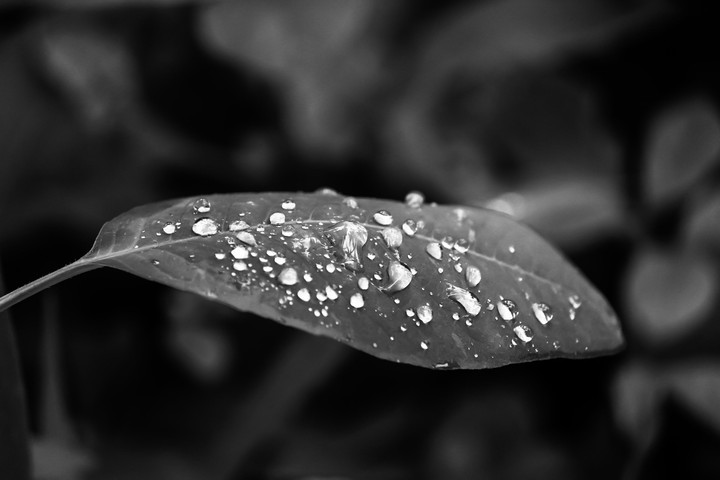 droplets