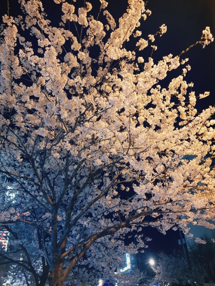 Korea
