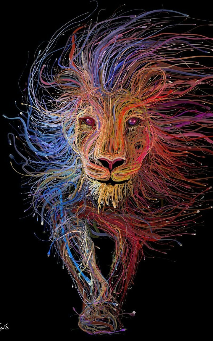 rainbow lion