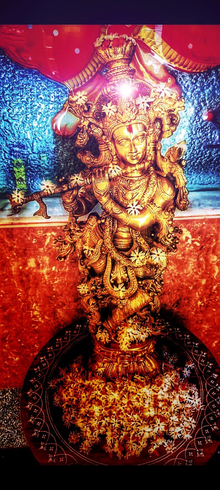 devotional Krishna