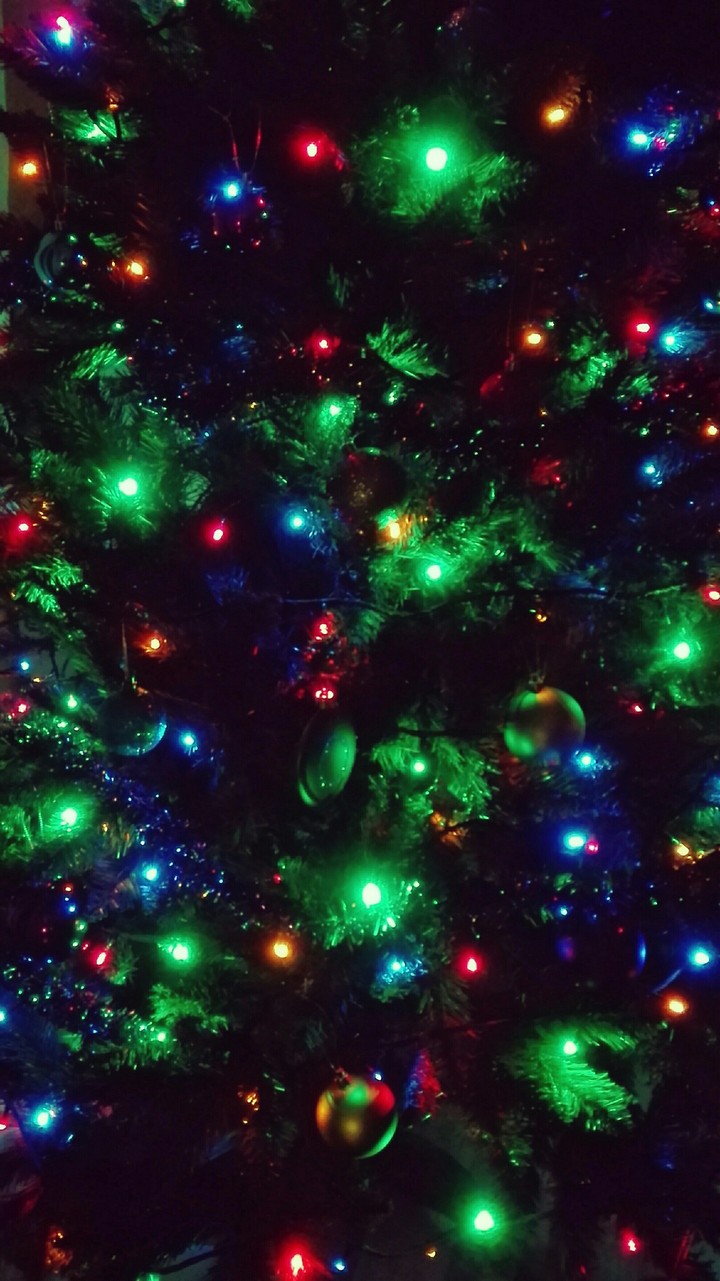 my christmas tree