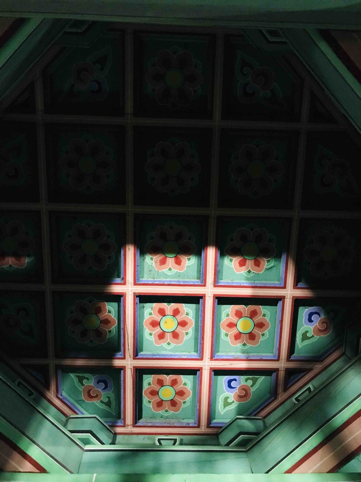Blossom in Light