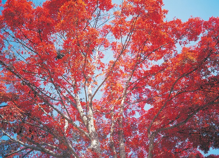 가을의전경