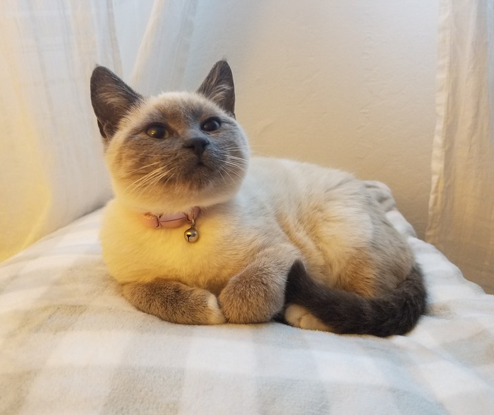 ⭐