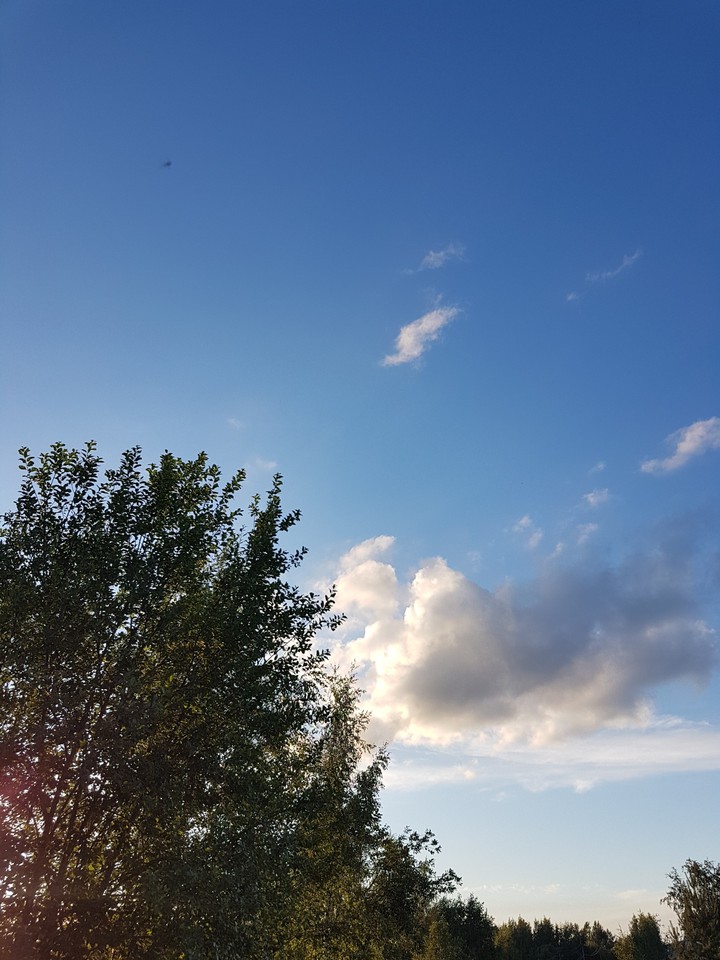 small time before sleep