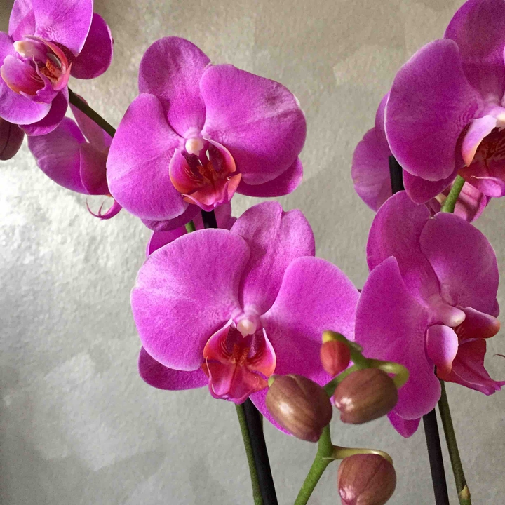 For u all