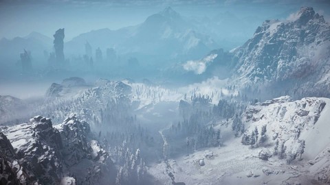 Winter forest