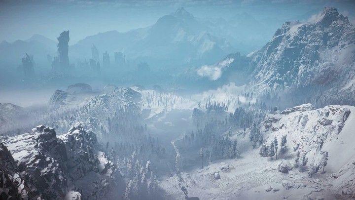 Winter forest