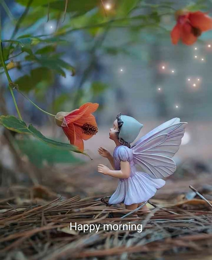 Good morning ???