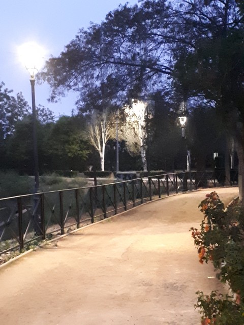 mi paseo