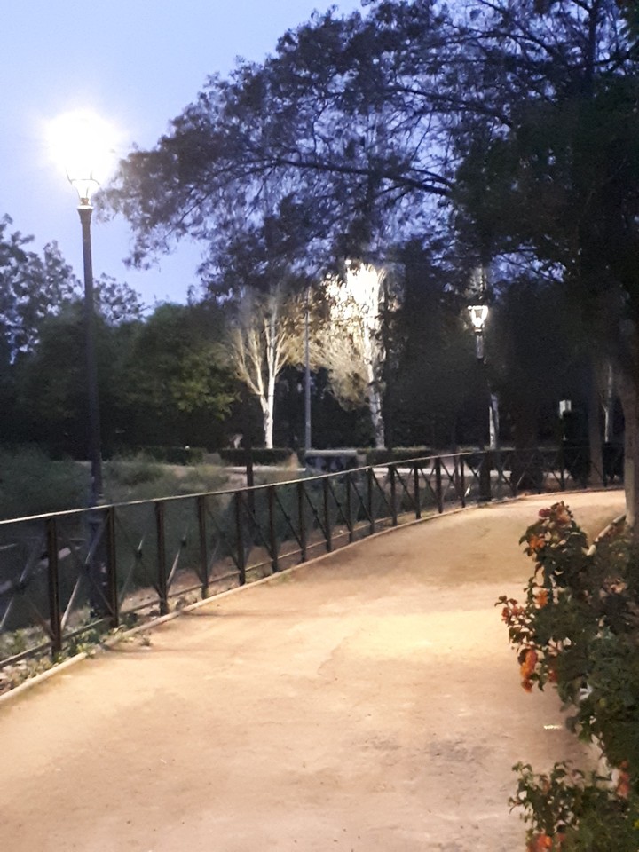 mi paseo