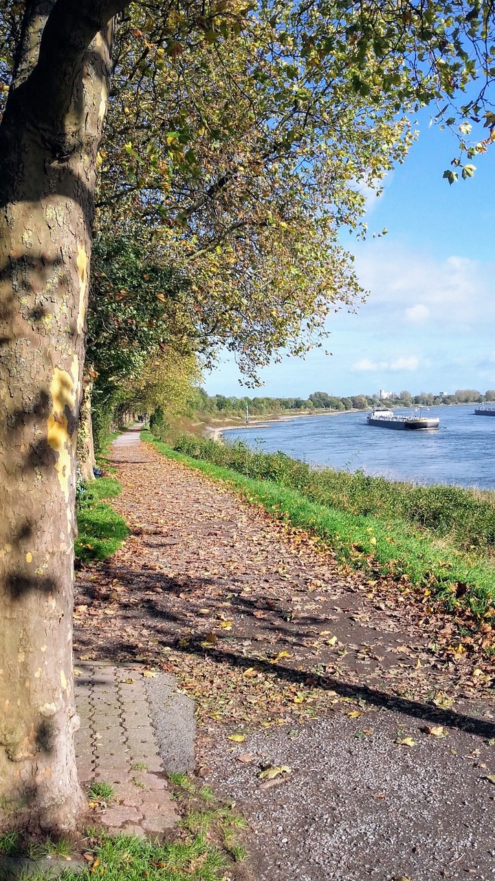 Autumn at the lower Rhine