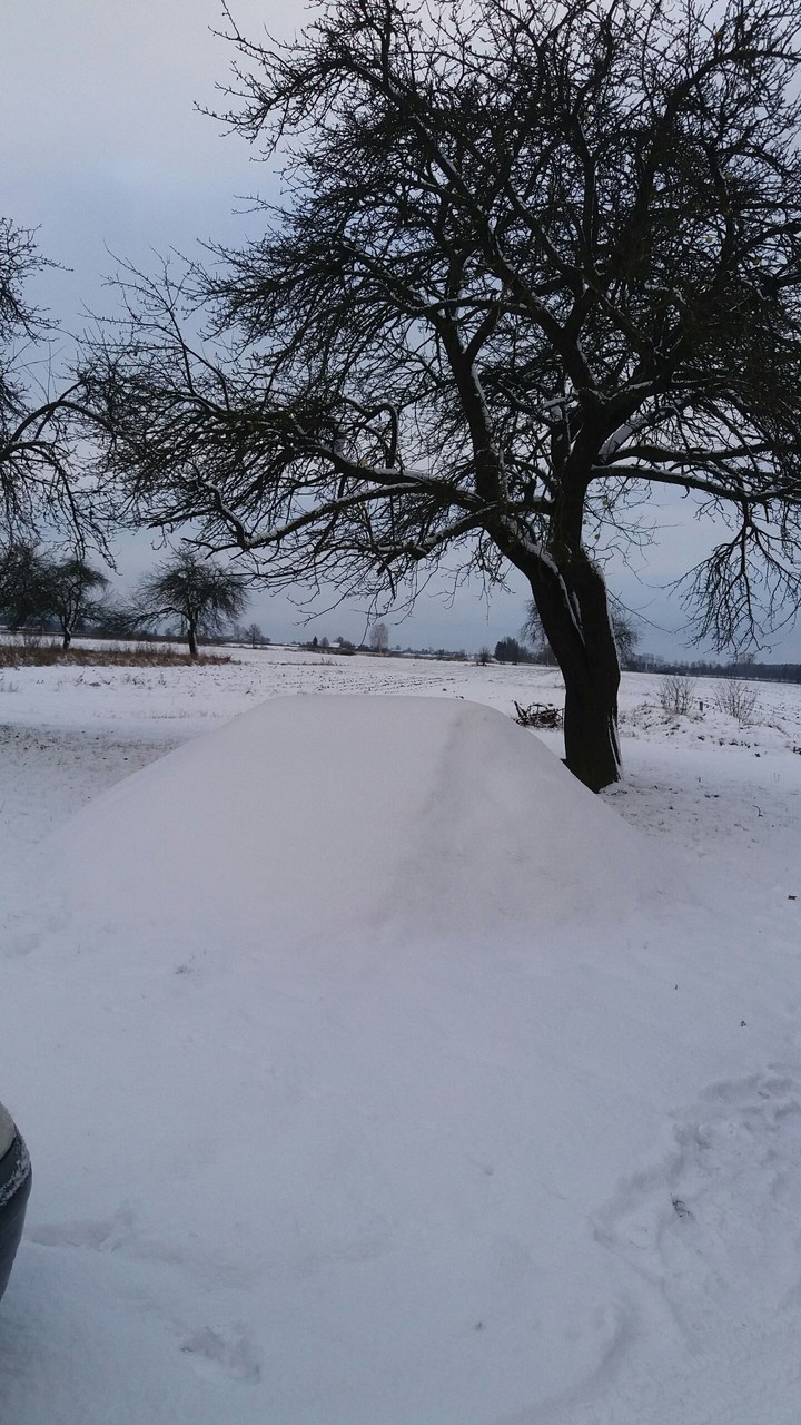 Winter Snow