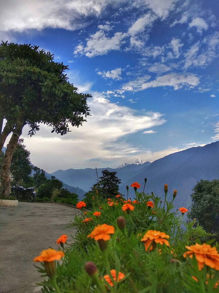 Beauti of Nature
