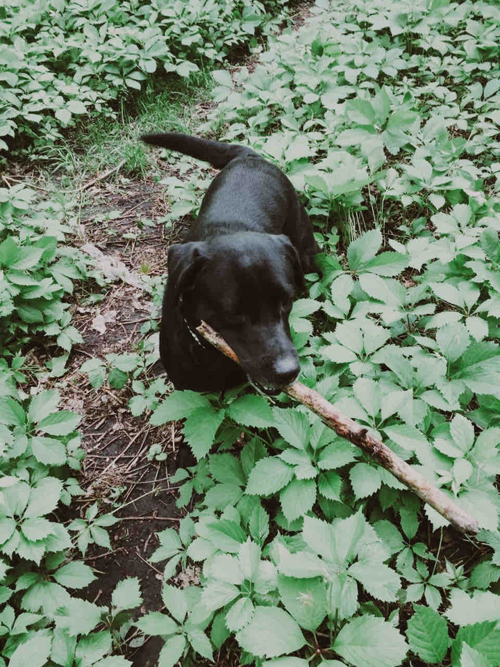 .