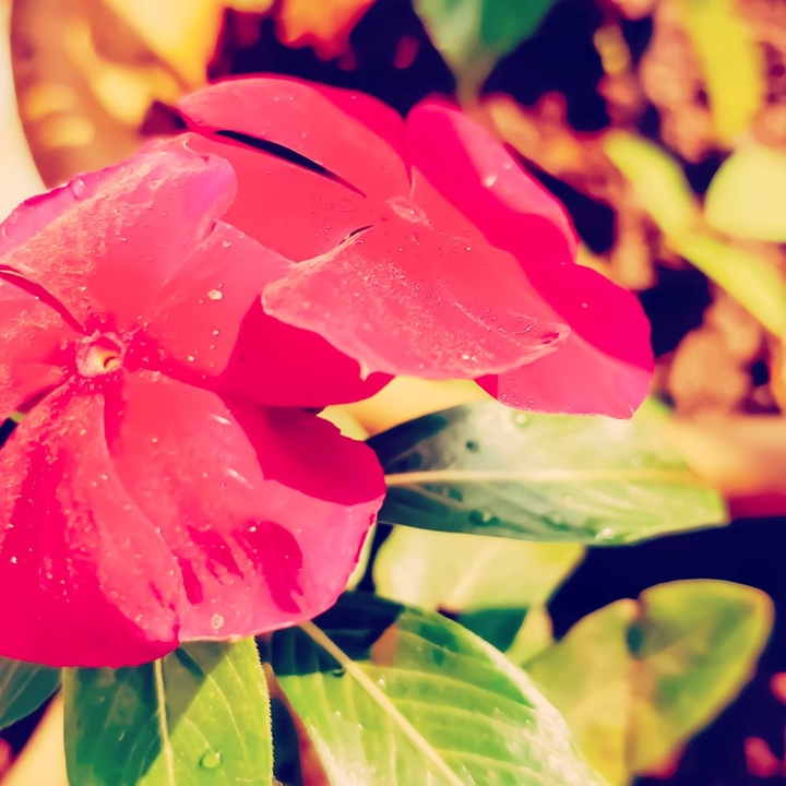 Nature at its best
