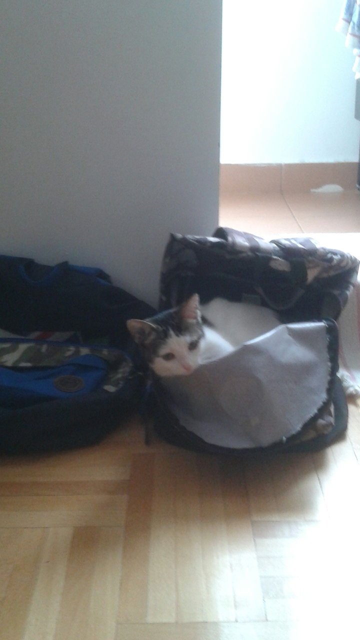School time