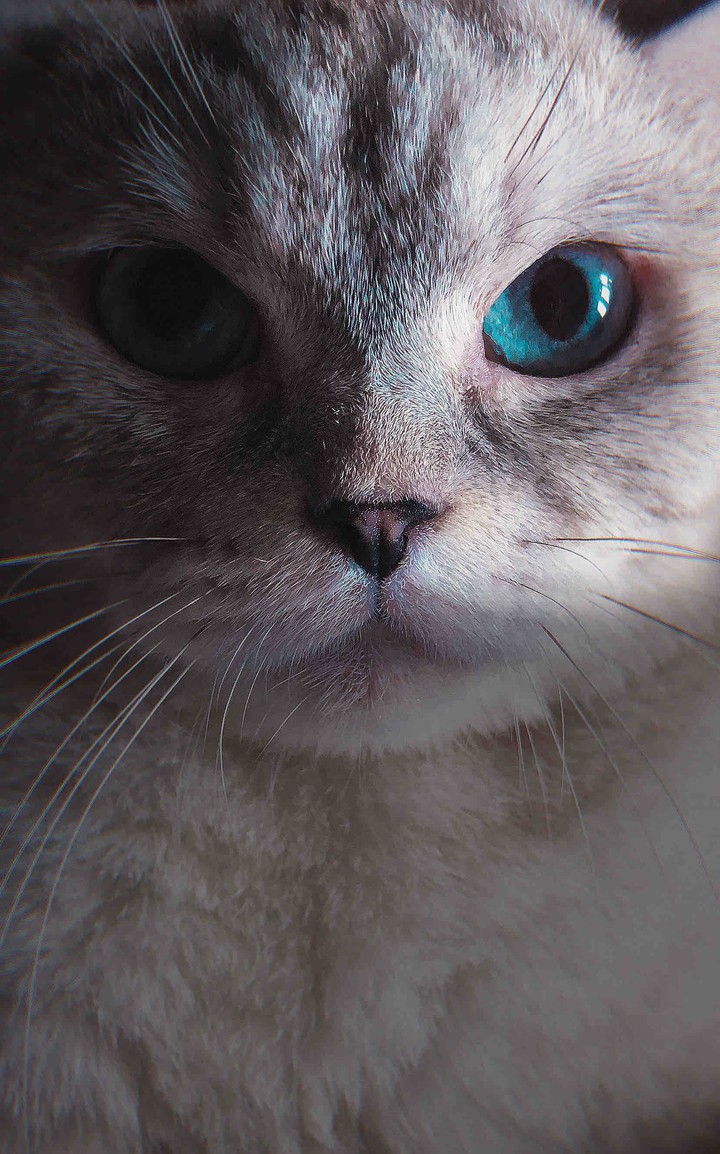 sight