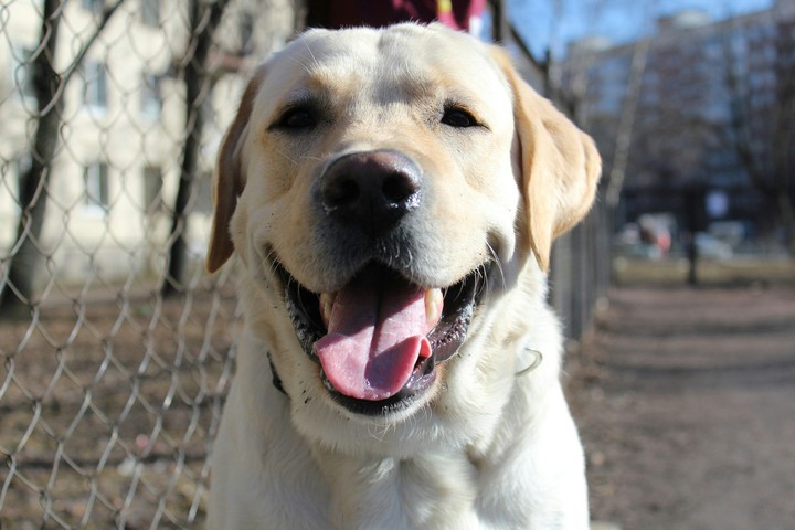 Marley